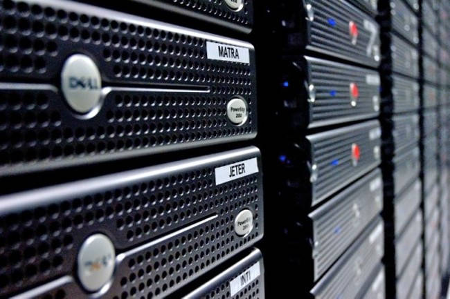 Professional Hosting Package